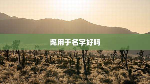 尧用于名字好吗