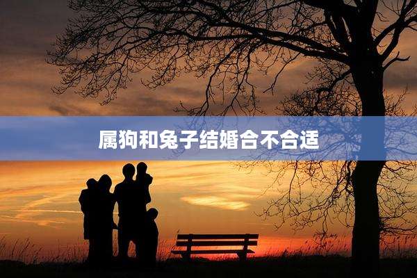 属狗和兔子结婚合不合适
