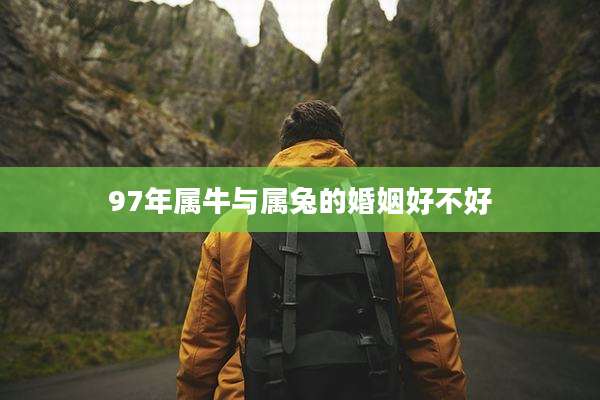 97年属牛与属兔的婚姻好不好