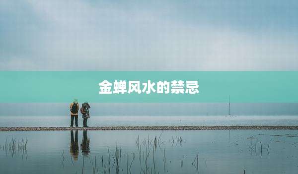金蝉风水的禁忌