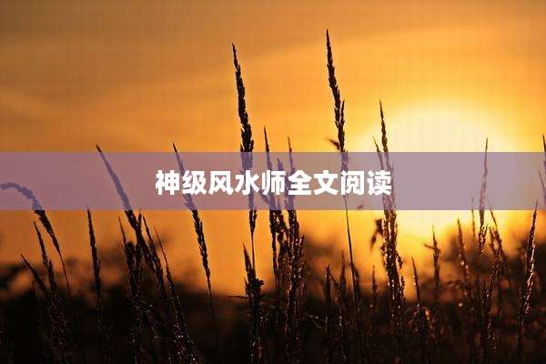 神级风水师全文阅读