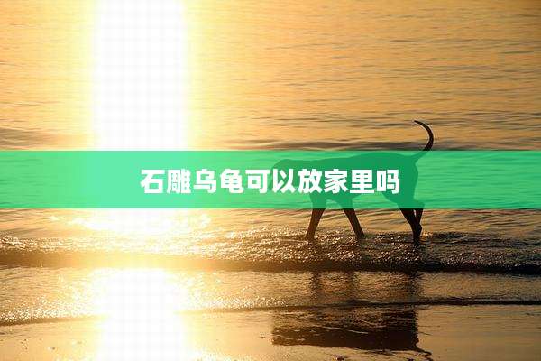 石雕乌龟可以放家里吗