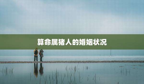 算命属猪人的婚姻状况