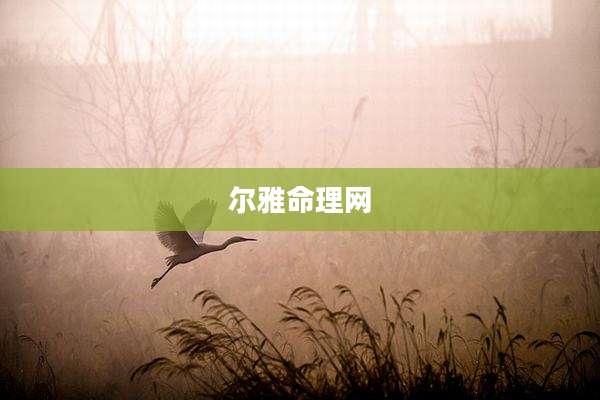 尔雅命理网