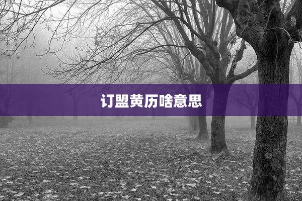 订盟黄历啥意思