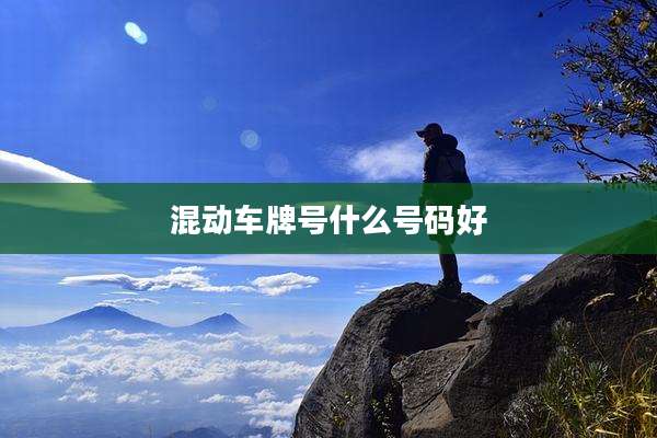 混动车牌号什么号码好
