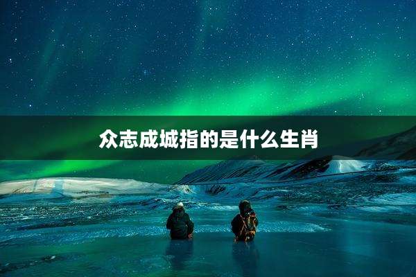 众志成城指的是什么生肖