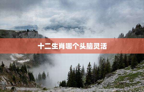 十二生肖哪个头脑灵活