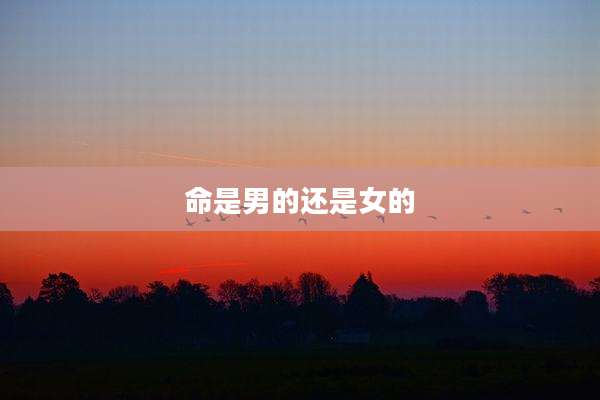 命是男的还是女的