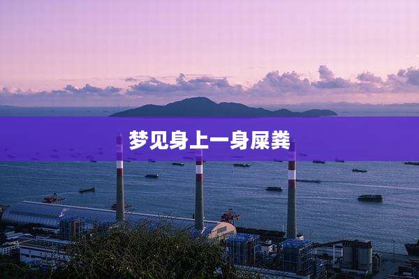 梦见身上一身屎粪