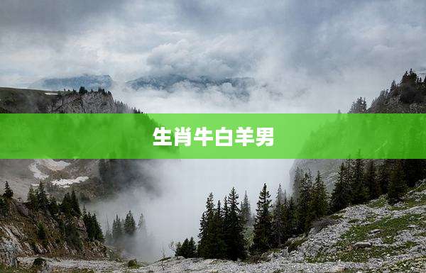 生肖牛白羊男