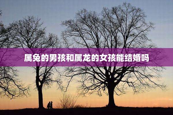 属兔的男孩和属龙的女孩能结婚吗
