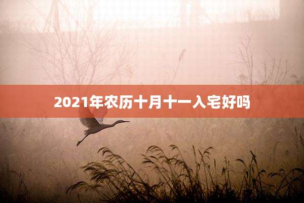 2021年农历十月十一入宅好吗