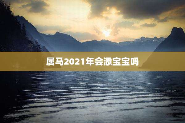 属马2021年会添宝宝吗