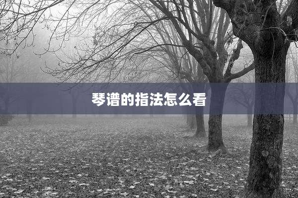 琴谱的指法怎么看