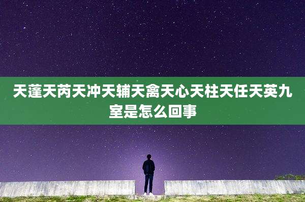 天蓬天芮天冲天辅天禽天心天柱天任天英九室是怎么回事