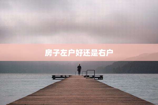房子左户好还是右户