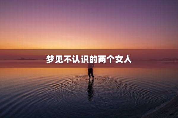 梦见不认识的两个女人