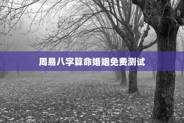 周易八字算命婚姻免费测试