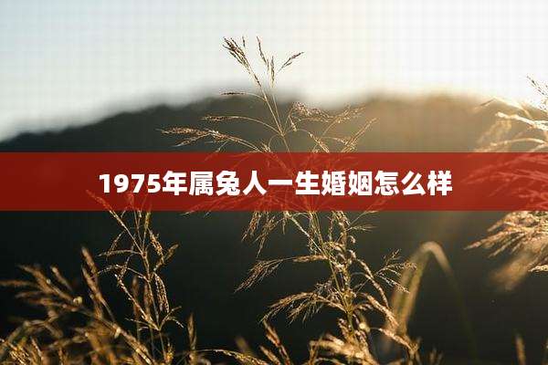 1975年属兔人一生婚姻怎么样