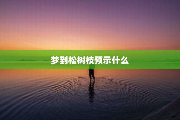 梦到松树枝预示什么