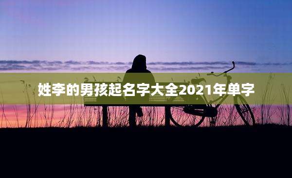 姓李的男孩起名字大全2021年单字
