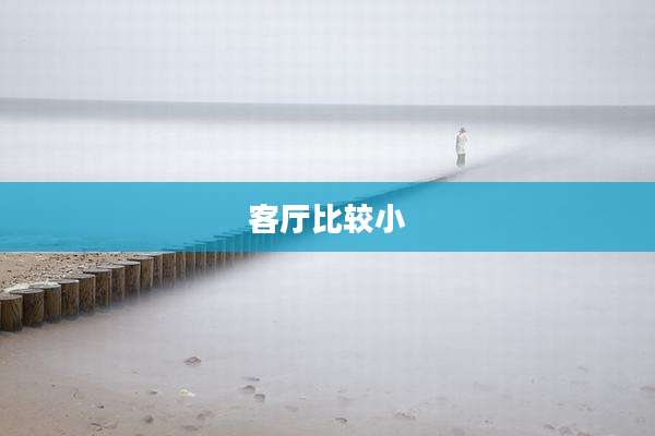 客厅比较小