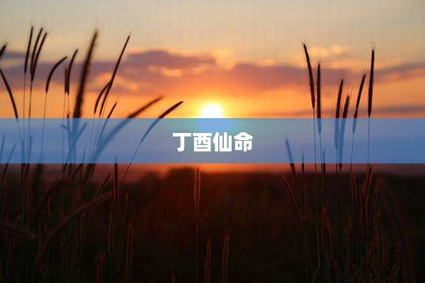 丁酉仙命
