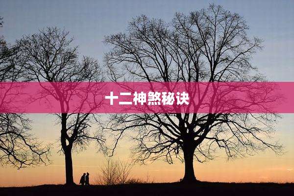 十二神煞秘诀