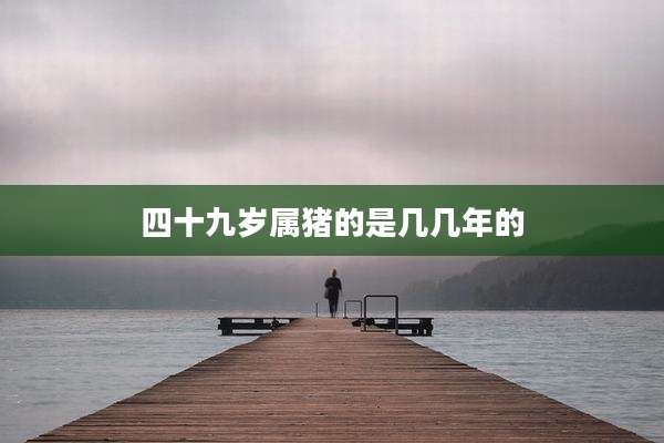 四十九岁属猪的是几几年的