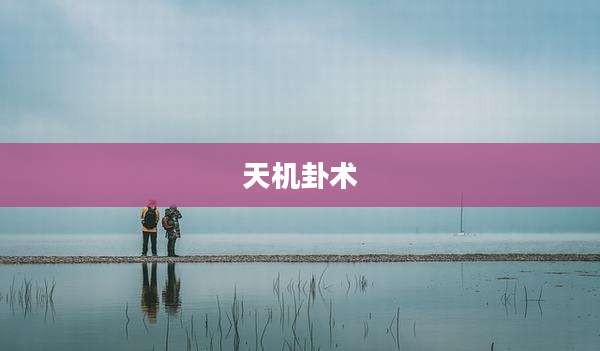 天机卦术