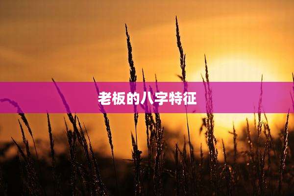 老板的八字特征