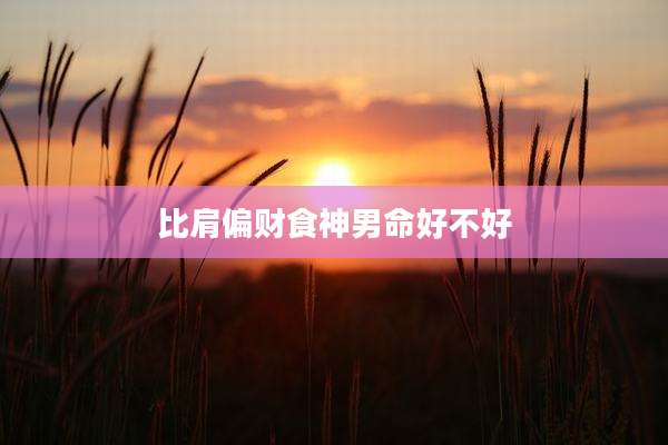 比肩偏财食神男命好不好