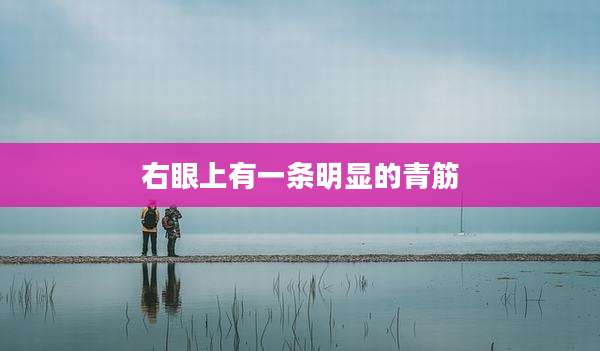 右眼上有一条明显的青筋