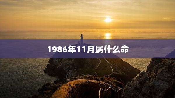 1986年11月属什么命