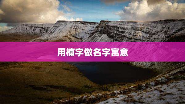 用楠字做名字寓意