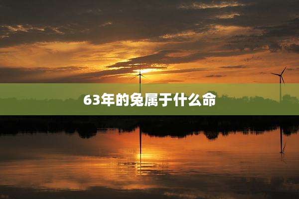 63年的兔属于什么命