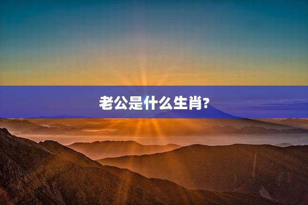 老公是什么生肖?