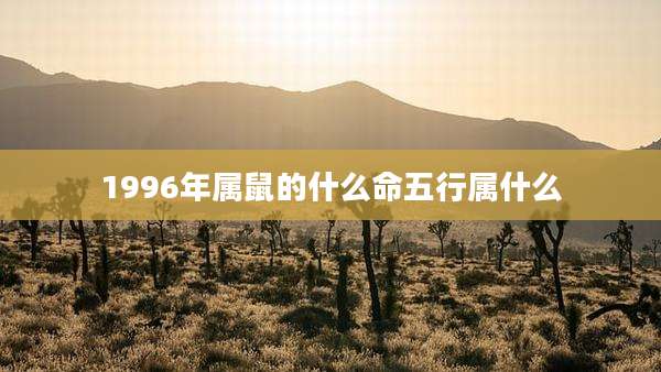 1996年属鼠的什么命五行属什么