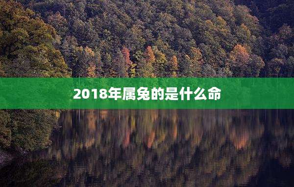 2018年属兔的是什么命