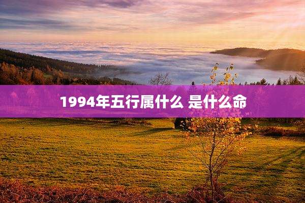 1994年五行属什么 是什么命