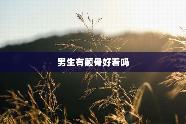 男生有颧骨好看吗