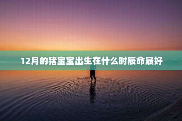 12月的猪宝宝出生在什么时辰命最好