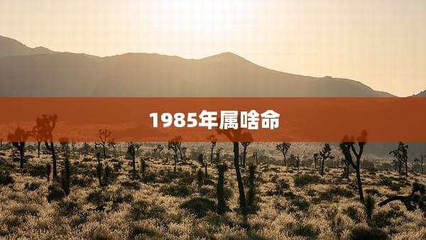 1985年属啥命