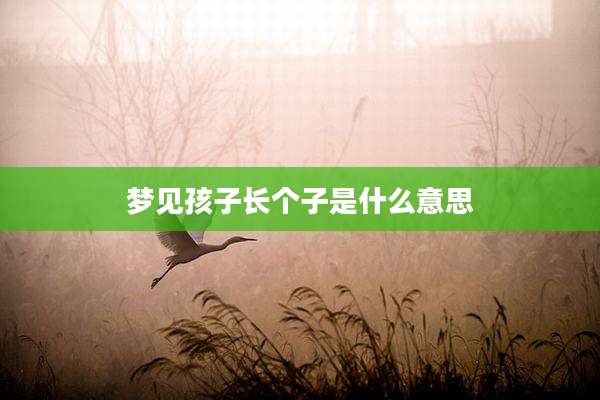 梦见孩子长个子是什么意思