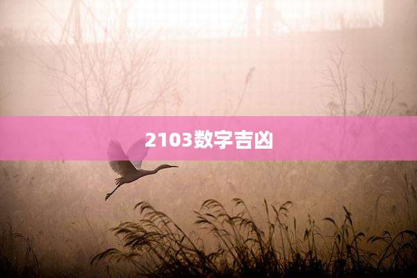 2103数字吉凶