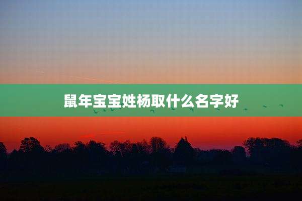 鼠年宝宝姓杨取什么名字好