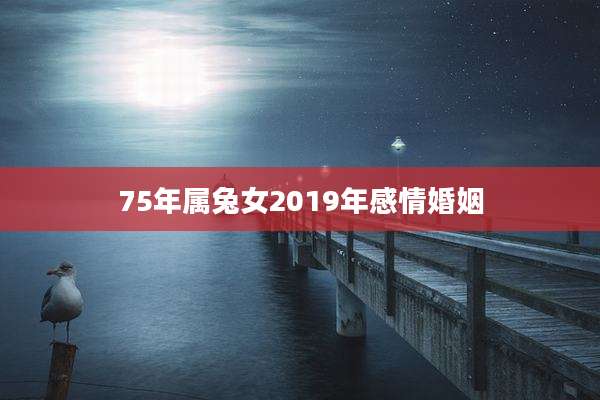 75年属兔女2019年感情婚姻