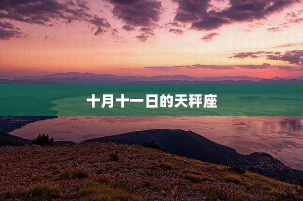 十月十一日的天秤座
