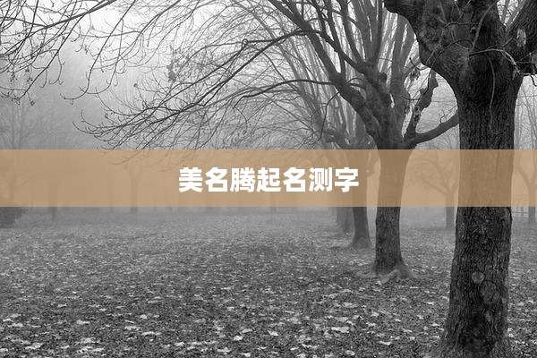 美名腾起名测字